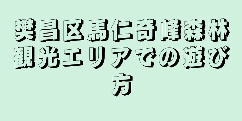 樊昌区馬仁奇峰森林観光エリアでの遊び方