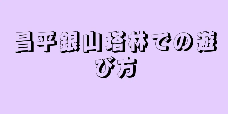 昌平銀山塔林での遊び方
