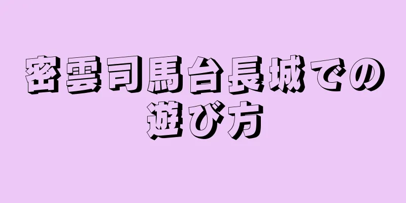 密雲司馬台長城での遊び方