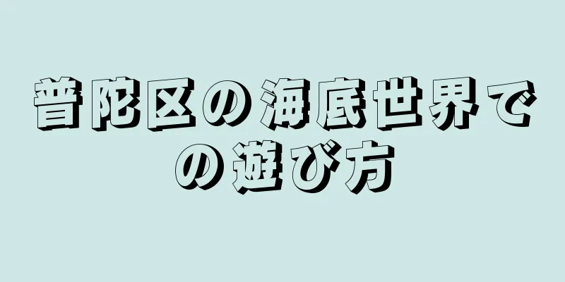普陀区の海底世界での遊び方