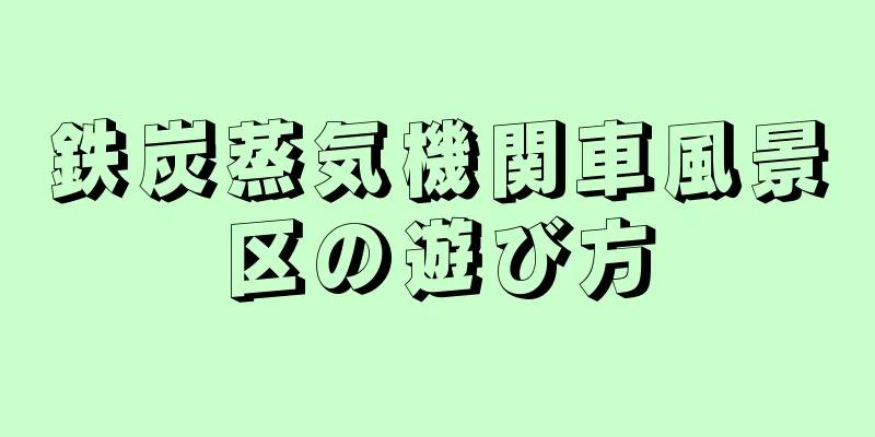 鉄炭蒸気機関車風景区の遊び方