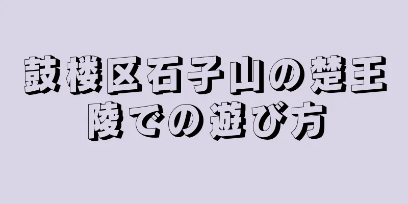 鼓楼区石子山の楚王陵での遊び方