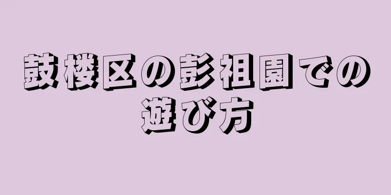 鼓楼区の彭祖園での遊び方