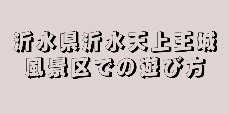 沂水県沂水天上王城風景区での遊び方