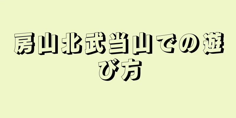 房山北武当山での遊び方