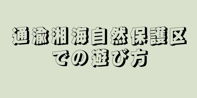 通渝湘海自然保護区での遊び方