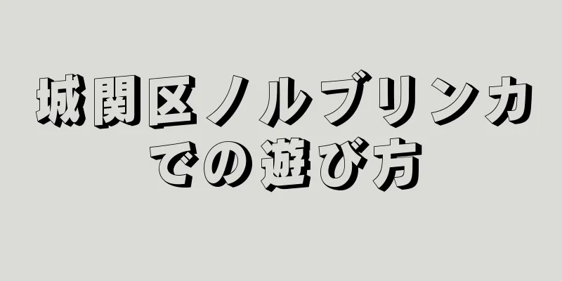 城関区ノルブリンカでの遊び方