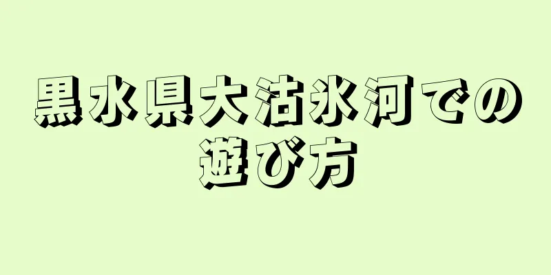 黒水県大沽氷河での遊び方