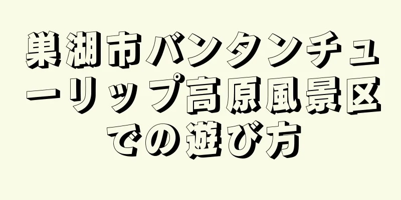 巣湖市バンタンチューリップ高原風景区での遊び方