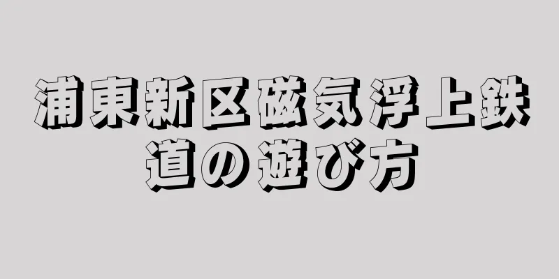 浦東新区磁気浮上鉄道の遊び方