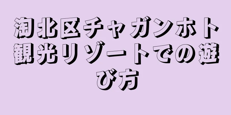 淘北区チャガンホト観光リゾートでの遊び方