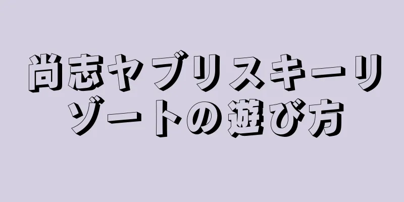 尚志ヤブリスキーリゾートの遊び方