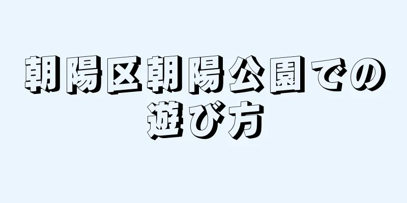 朝陽区朝陽公園での遊び方