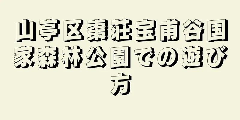 山亭区棗荘宝甫谷国家森林公園での遊び方