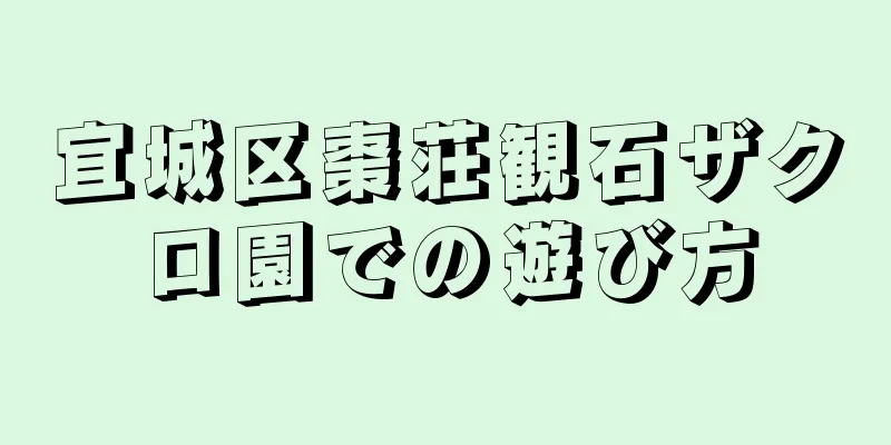 宜城区棗荘観石ザクロ園での遊び方