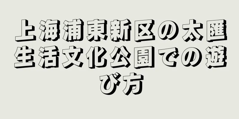 上海浦東新区の太匯生活文化公園での遊び方