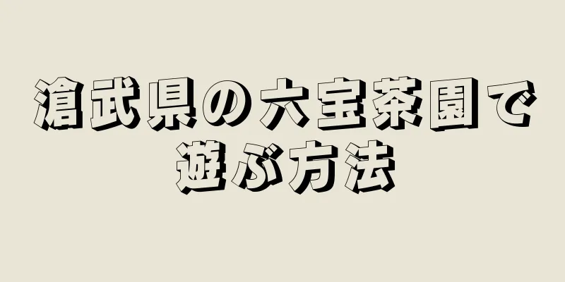 滄武県の六宝茶園で遊ぶ方法