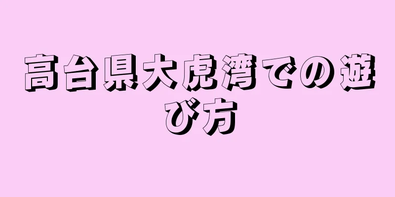 高台県大虎湾での遊び方