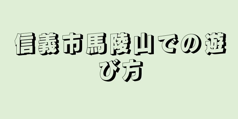 信義市馬陵山での遊び方