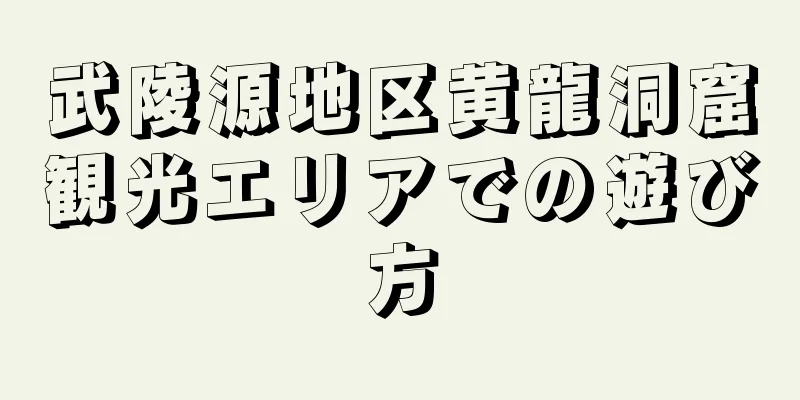 武陵源地区黄龍洞窟観光エリアでの遊び方