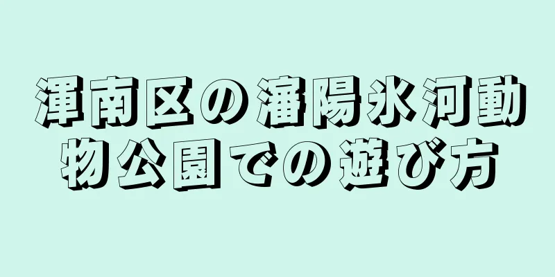 渾南区の瀋陽氷河動物公園での遊び方