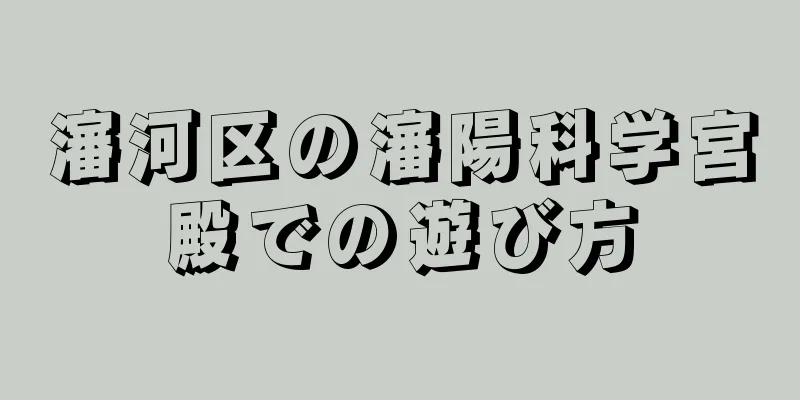 瀋河区の瀋陽科学宮殿での遊び方