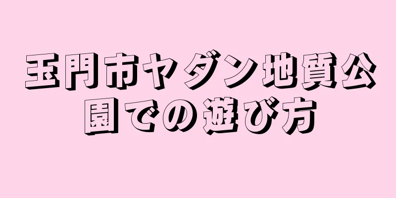 玉門市ヤダン地質公園での遊び方