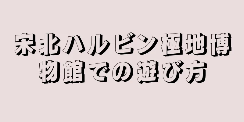 宋北ハルビン極地博物館での遊び方