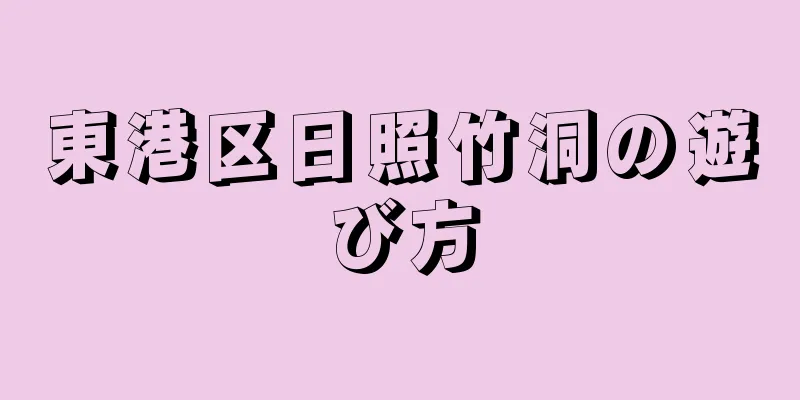 東港区日照竹洞の遊び方