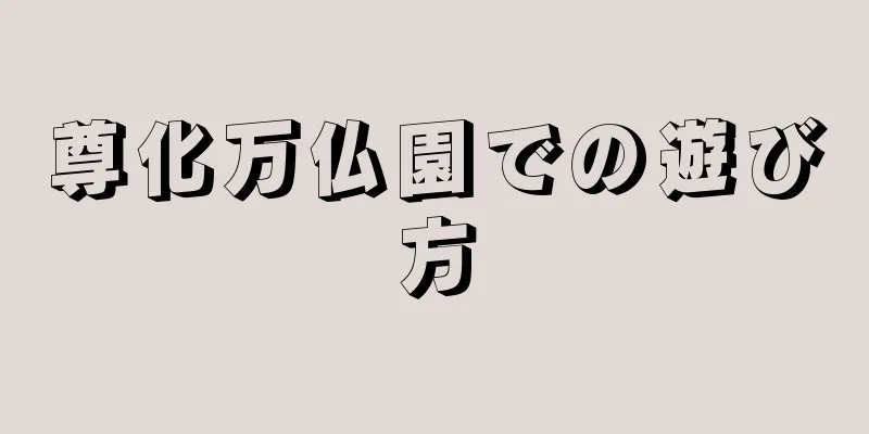 尊化万仏園での遊び方