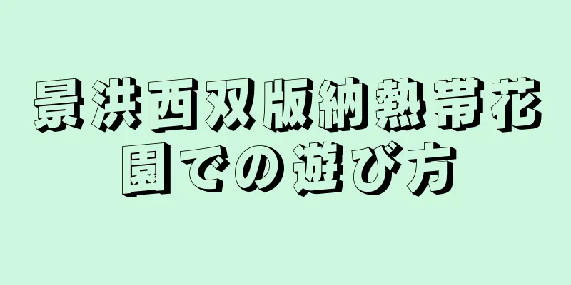 景洪西双版納熱帯花園での遊び方