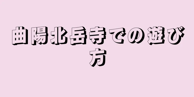 曲陽北岳寺での遊び方