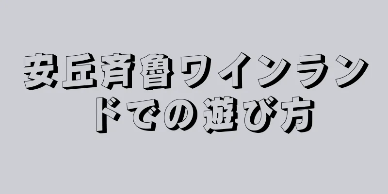 安丘斉魯ワインランドでの遊び方
