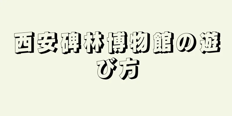 西安碑林博物館の遊び方