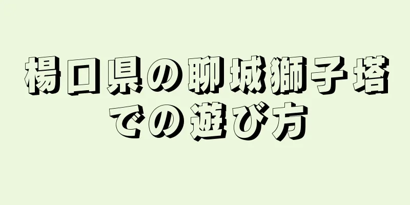 楊口県の聊城獅子塔での遊び方