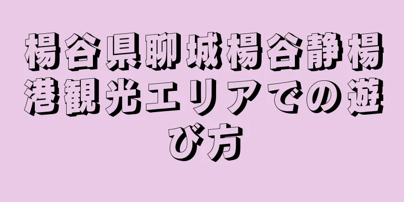 楊谷県聊城楊谷静楊港観光エリアでの遊び方