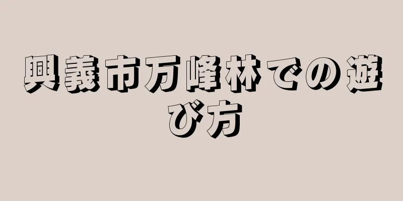 興義市万峰林での遊び方