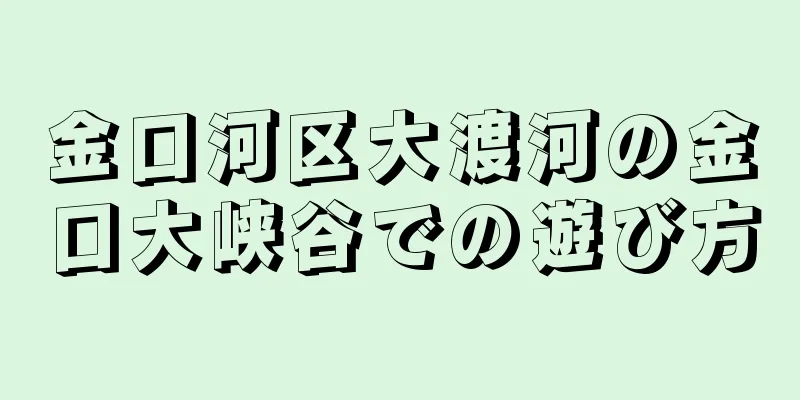 金口河区大渡河の金口大峡谷での遊び方