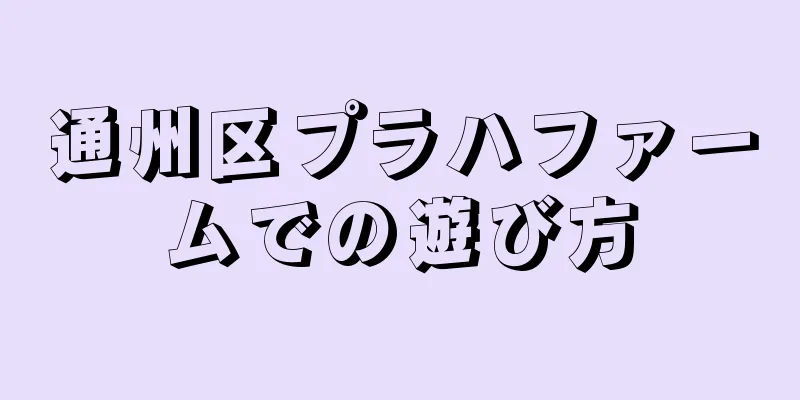 通州区プラハファームでの遊び方