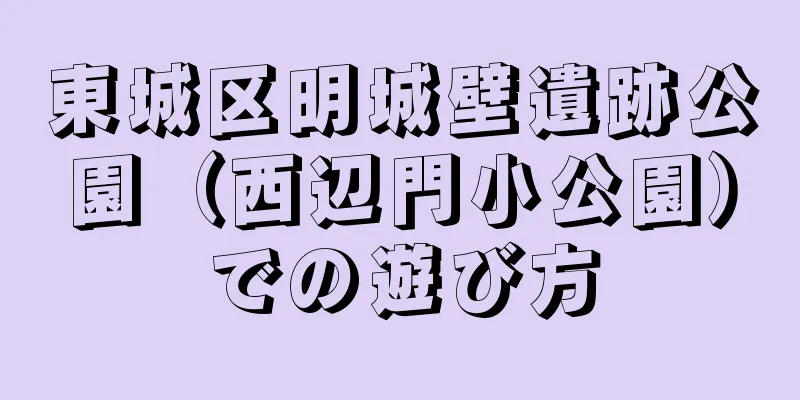 東城区明城壁遺跡公園（西辺門小公園）での遊び方