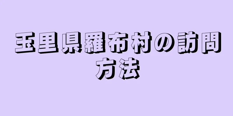 玉里県羅布村の訪問方法