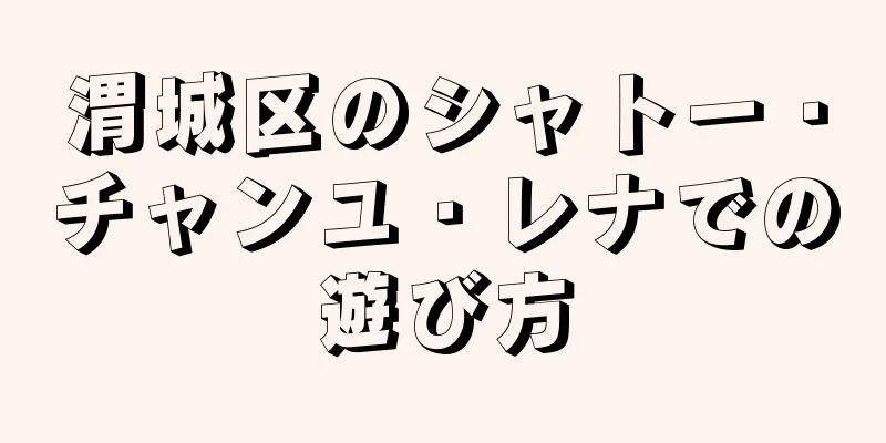 渭城区のシャトー・チャンユ・レナでの遊び方