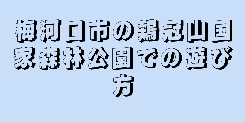 梅河口市の鶏冠山国家森林公園での遊び方