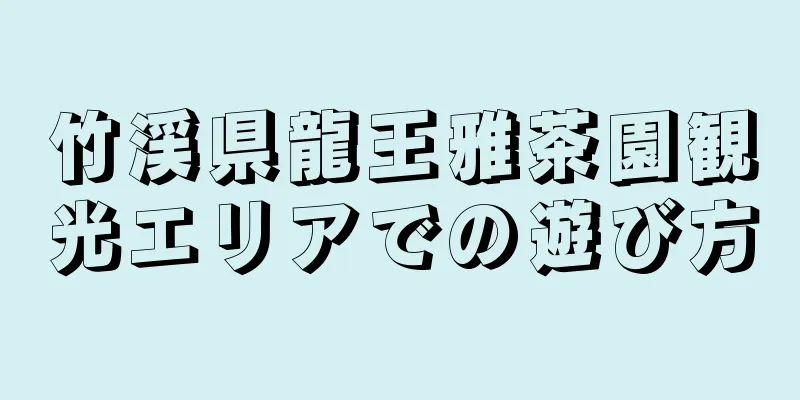 竹渓県龍王雅茶園観光エリアでの遊び方