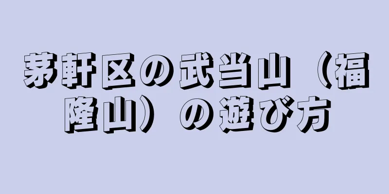 茅軒区の武当山（福隆山）の遊び方