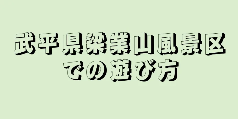 武平県梁業山風景区での遊び方