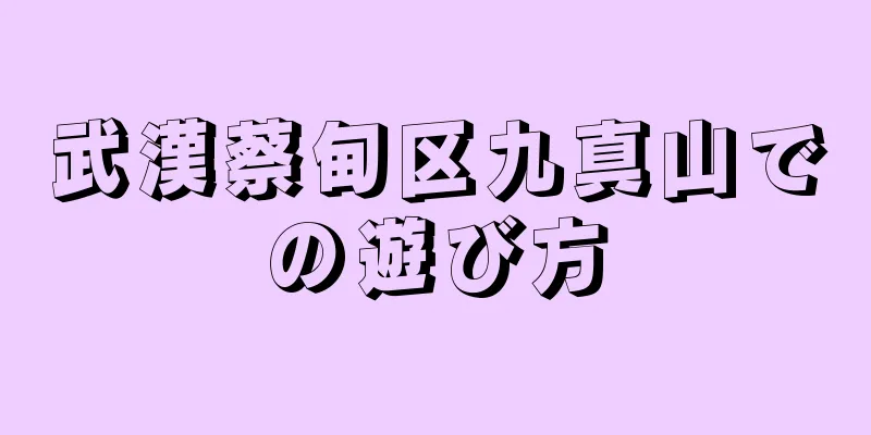 武漢蔡甸区九真山での遊び方