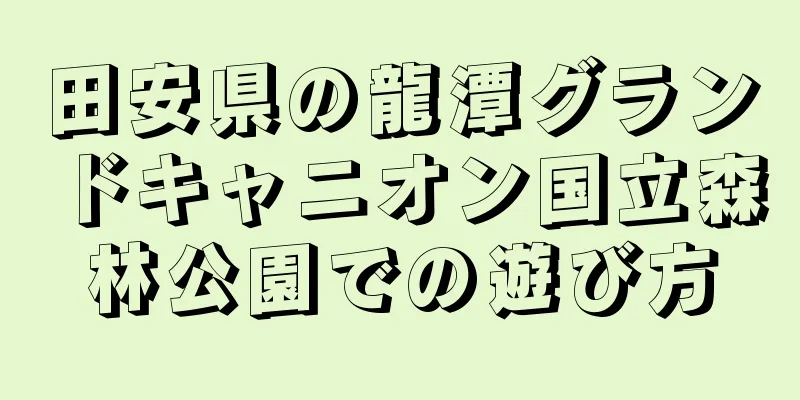 田安県の龍潭グランドキャニオン国立森林公園での遊び方