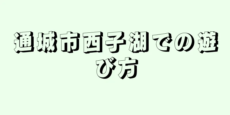 通城市西子湖での遊び方