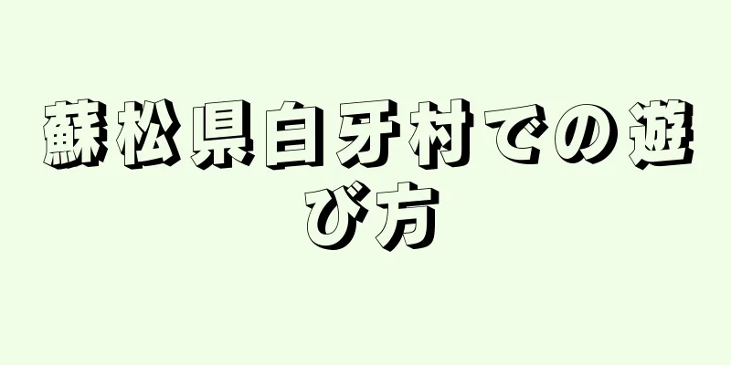 蘇松県白牙村での遊び方